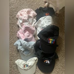 Variety of hats